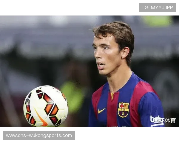 格里马尔多本菲卡时期表现稳健，成名之路走势清晰